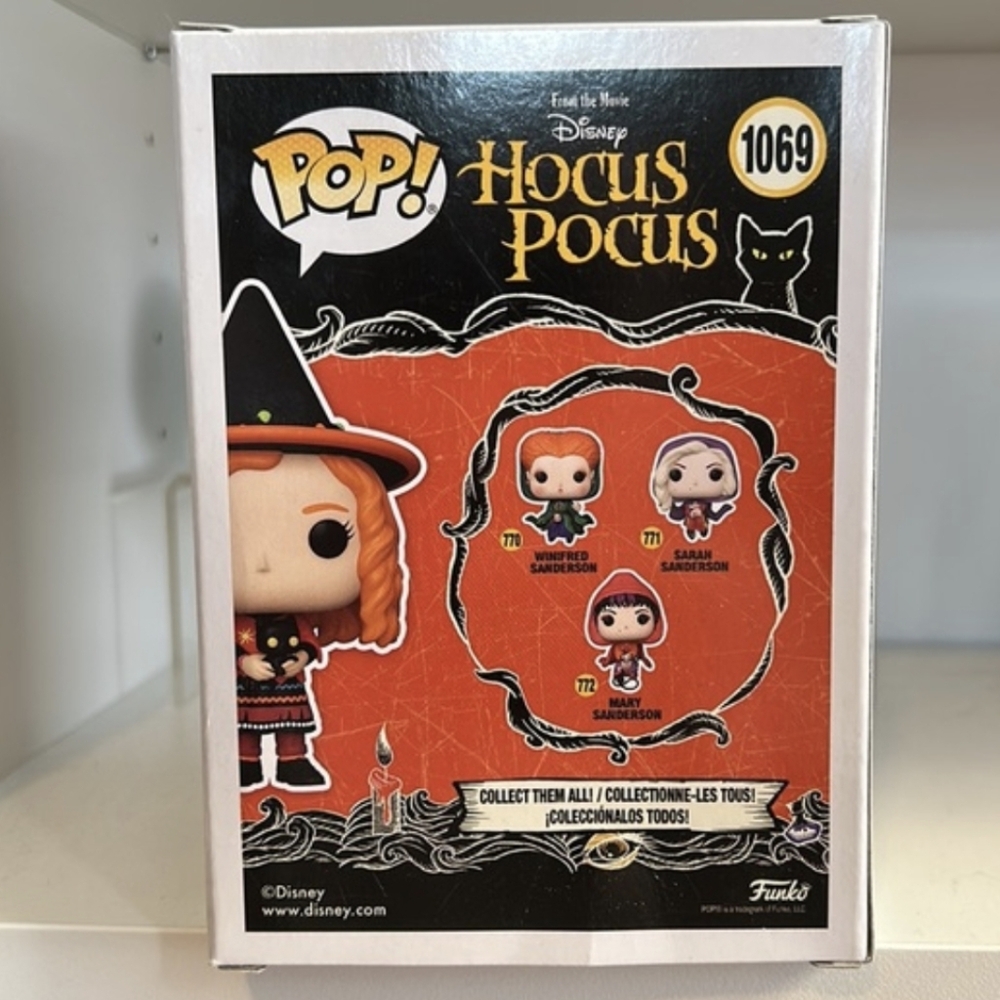 Funko POP Hocus Pocus Dani With Binx- Spirit Exclusive New! - Picture 3 of 3